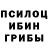 Псилоцибиновые грибы мицелий Rita Shadi