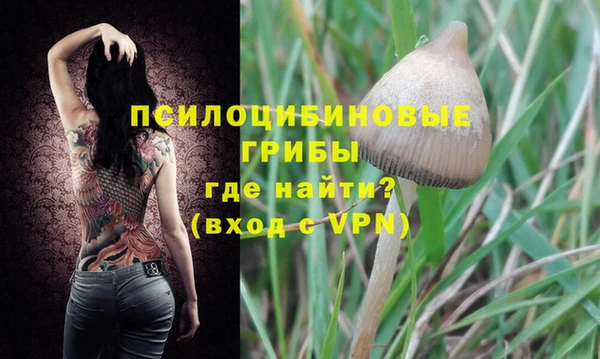 COCAINE Бородино