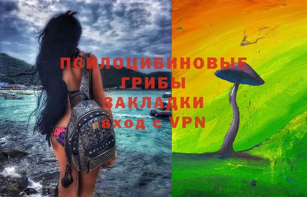 твердый Бронницы